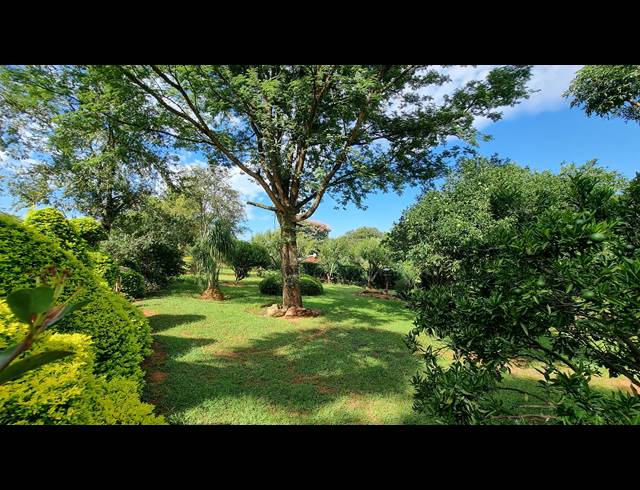 1HA SMALLHOLDING FOR SALE IN SABIE RURAL